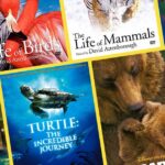 How to Find Best Nature Documentaries