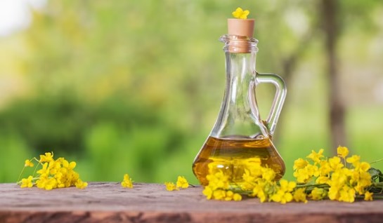 What Are the Alternatives to Canola Oil in European Cooking?