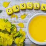 Why is Canola Oil Banned in Europe? A Detailed Overview