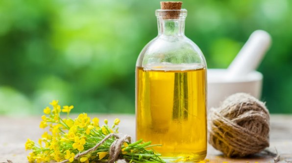 Why is Canola Oil Banned in Europe? What Are the Reasons Behind?