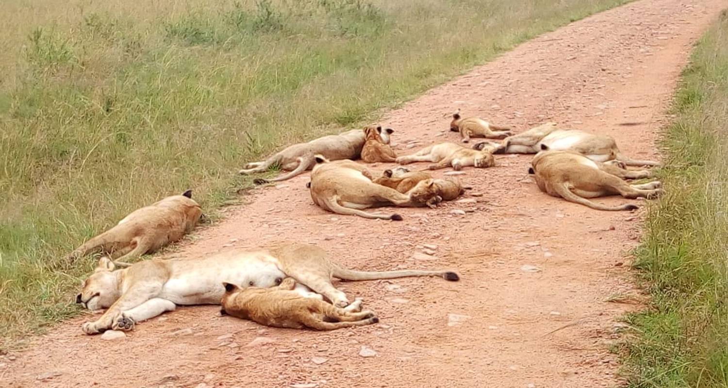 Tsavo National Park