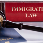 Building Bridges The Transformative Impact of an Immigration Law Firm
