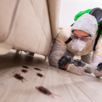 Perth’s Ultimate Guide to Pest Control